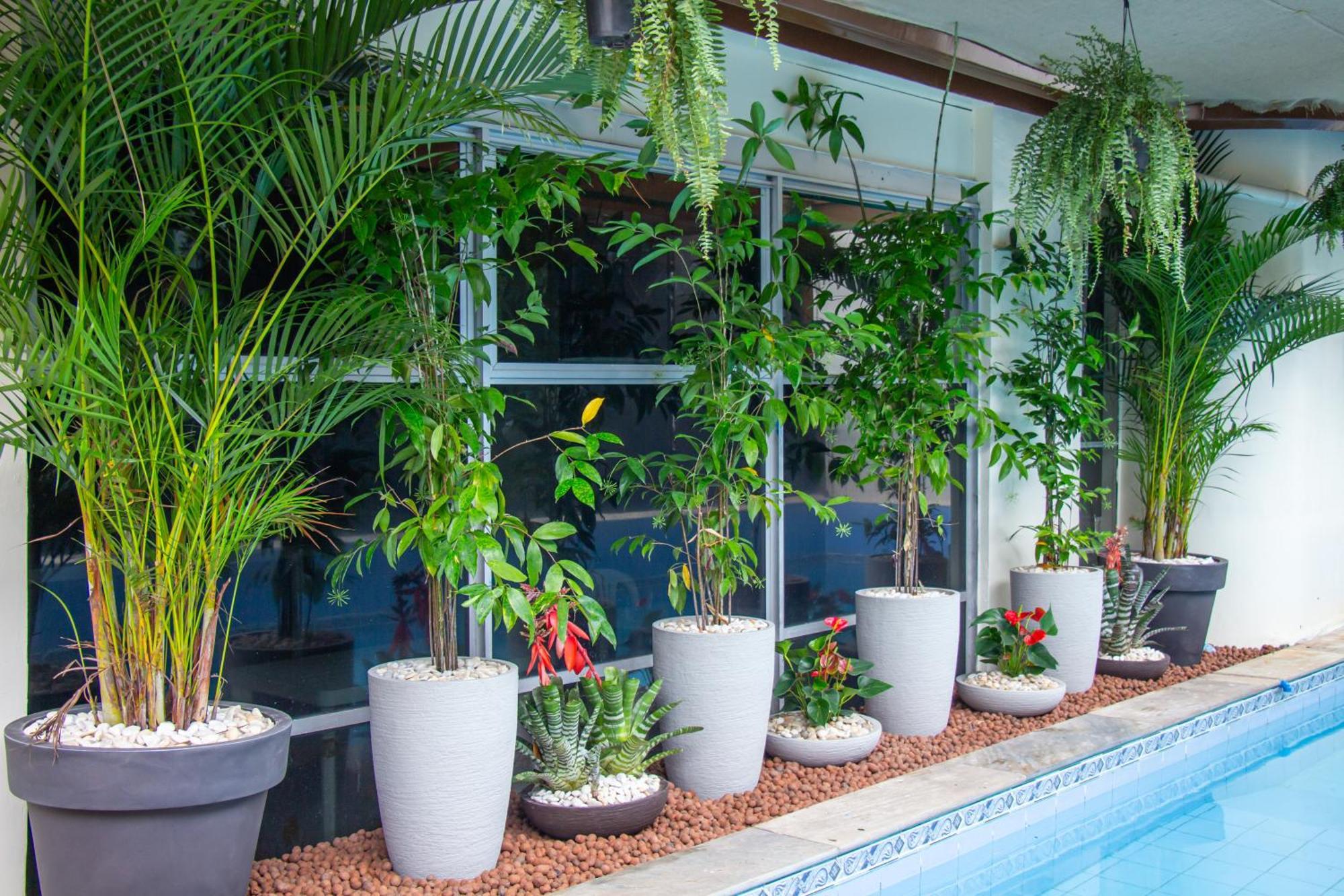 Prestige Manaus Hotel Eksteriør billede